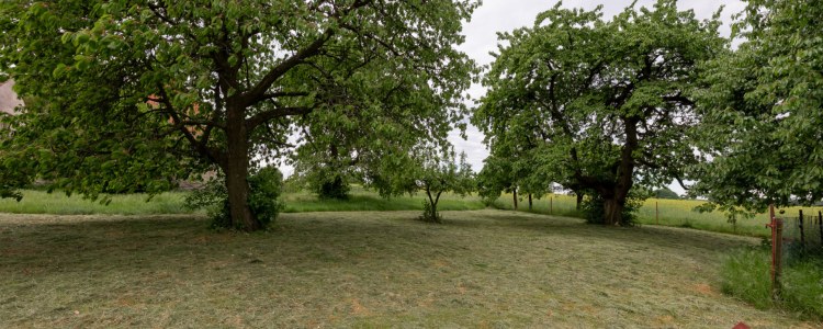 407_7417140424.jpg