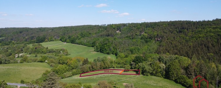 413_8510978173.jpg